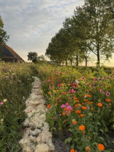 De Greidelân-pluktuin